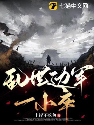 乱世边军一小卒TXT