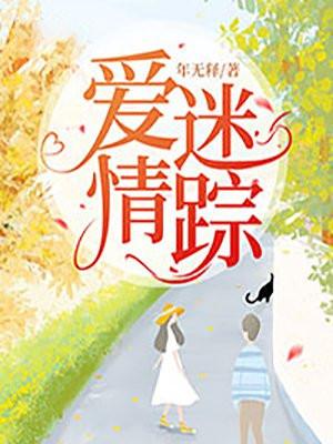 爱情迷踪 电视剧