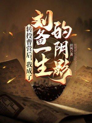 刘备传偷袭曹营