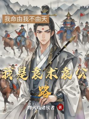 三国我是袁术的儿子