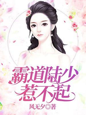 霸道少爷惹不起