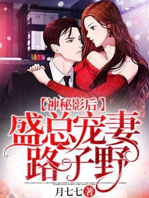 神秘影后盛总宠妻路子野章节有问题