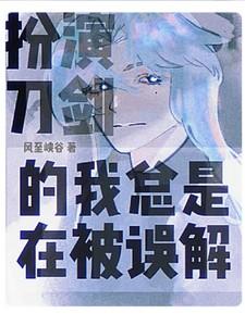 扮演刀剑的我总是在被误解 风至峡谷