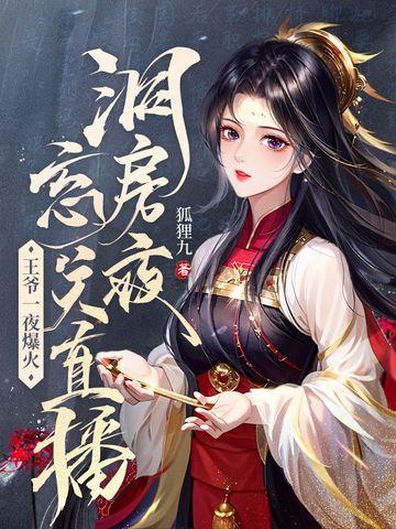 王爷王妃洞房花烛夜