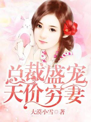 天价盛宠总裁的宝贝妻
