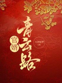 官婿青云路王大勇最新章节更新时间表