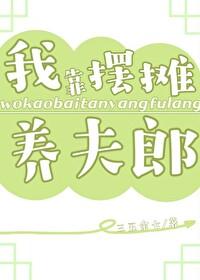 我靠摆摊养夫郎免费阅读