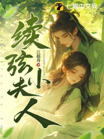 续弦小夫人春喜结局