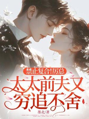 厉太太我们复婚吧全文免费阅读玲歌