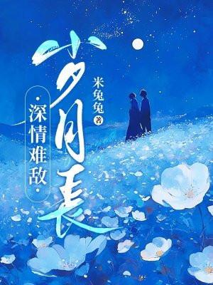 深情可抵岁月长免费阅读