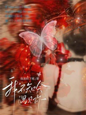 我不知会遇见你全文免费阅读