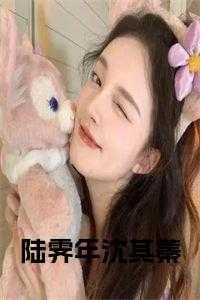 陆鹤琛沈微澜全文免费读