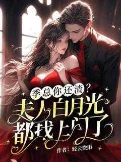 季总的小娇夫免费阅读