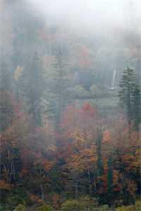 到了夜晚就会移动的冰箱叫什么