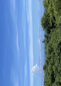 错过的青春回忆