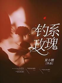 钓系玫瑰何皎皎一共多少章