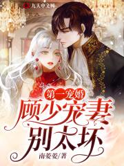 顾墨凡苏宁笙全文免费阅读