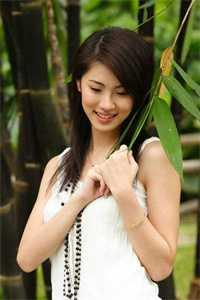 毛孩系统陆清安张芸