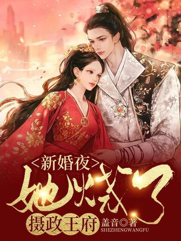 摄政王府重生在新婚夜烧新房