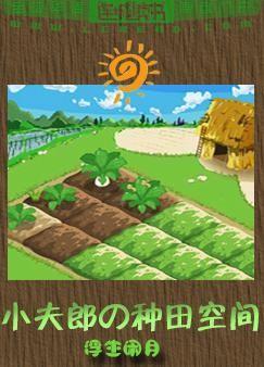 小夫郎的种田空间浮生闲月