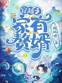 穿越之家有赘婿晋江