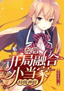 特级神厨txt