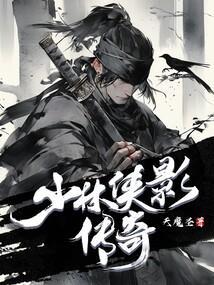 少林侠影传奇天魔圣