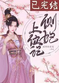 侧妃上位记百度