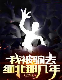 我被骗去缅北那几年 豆瓣