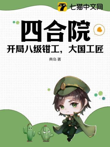 四合院神级钳工