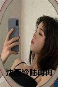 沈西凉陆忆歆番外