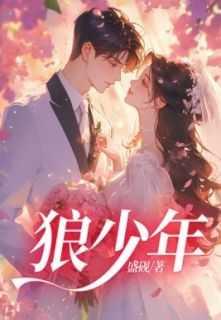 狼少年豆瓣评分