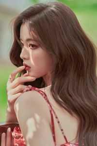 韩在野月佟月笙大结局