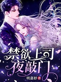 上司夜敲门傅宴时
