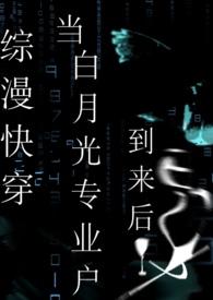 白月光系统快穿主攻