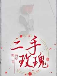 二手玫瑰视频现场版