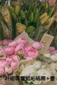 叶明珠霍知珩免费阅读