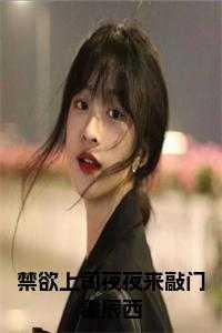 禁欲上司夜夜来敲门霍辰西完整免费阅读