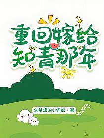 重生嫁知青男配