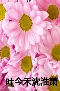 叶今禾沈淮萧大结局