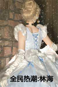 全民热潮林海林雪免费阅读