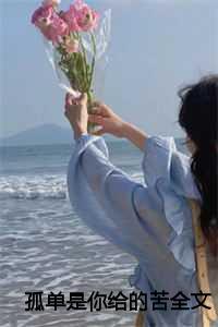 孤单是你给的苦全文阅读TXT