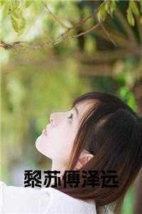 黎苏傅泽远全文免费