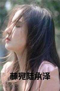 陆泽林蕊傅允承全文