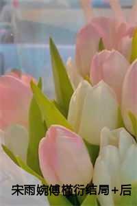 宋雨婉傅槿衍结局片