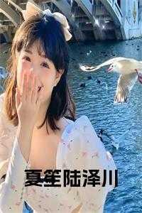 夏笙陆泽川最新章节更新和背景介绍