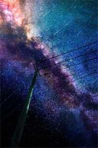 谋生亦谋爱什么意思