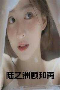 陆之洲顾知苒原来时光不记得