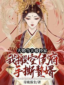 大婚当天被抄家?我搬空侯府手撕赘婿 免费