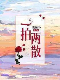 一拍两散近义词